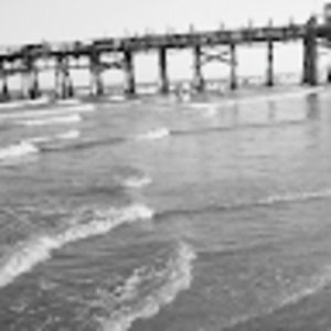 Meet your Posher, Gregory